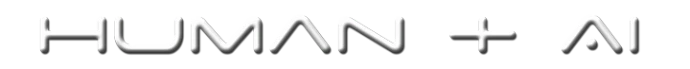 Inteligencia Artificial: Human in the loop, Human + AI